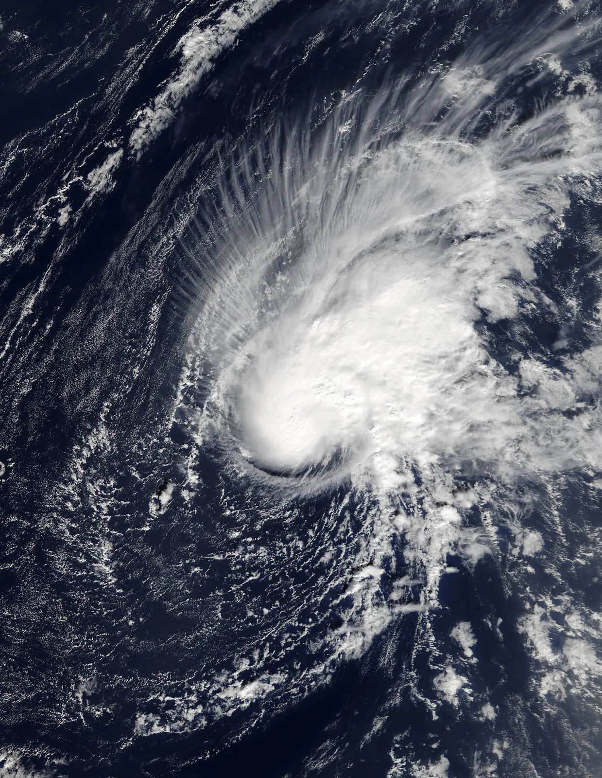 Tropical Storm Zeta